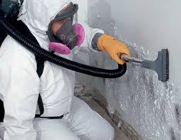 Best Environmental Consulting for Mold Prevention  in Strum, WI